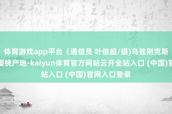 体育游戏app平台（通信员 叶俊超/摄)乌兹别克斯坦是闻明的樱桃产地-kaiyun体育官方网站云开全站入口 (中国)官网入口登录